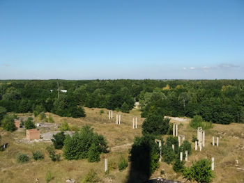 Trees on field against clear sky