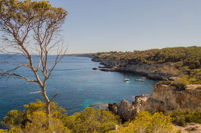 Scenic view of sea against clear sky