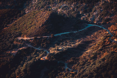 High angle view of rocks on road