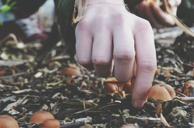 Close up of human hand