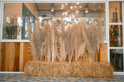 Hay bales in a row