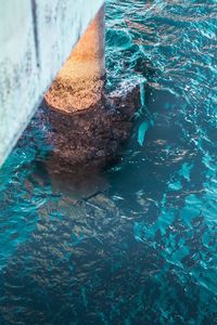 High angle view of swimming pool in sea