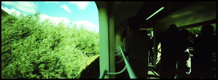 Rear view of silhouette people standing by plants