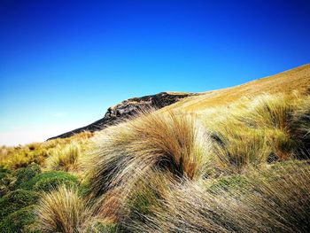 Scenic view of land against clear blue sky