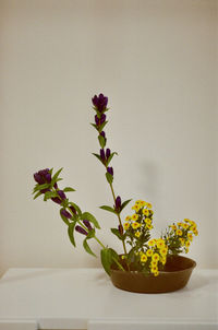 Close-up of potted plant against wall at home