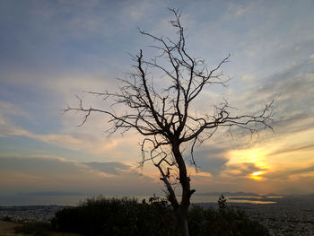 Silhouette bare tree against sky during sunset