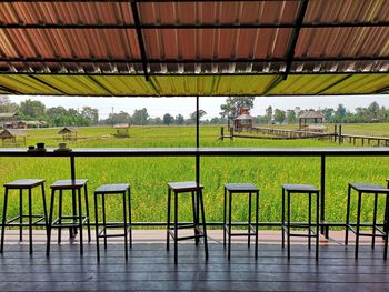 Empty chairs and table in farm