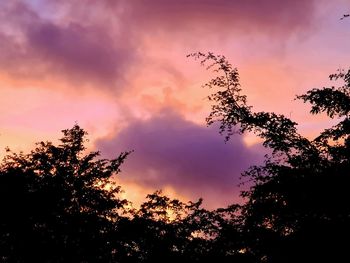 Low angle view of silhouette trees against dramatic sky