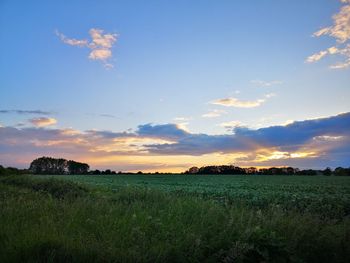 Scenic view of field against sky during sunset