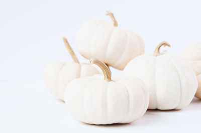 Close-up of pumpkins against white background