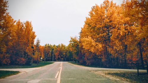Road amidst trees during autumn