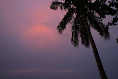 Low angle view of silhouette palm tree against sky at sunset