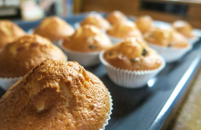 Close-up of cupcakes