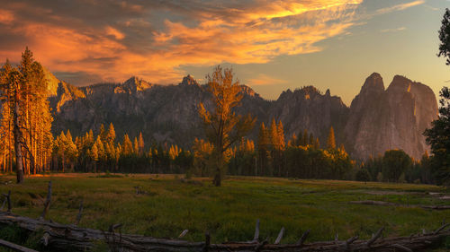 Panoramic view of trees against sky during sunset