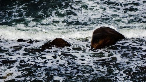 High angle view of rock in sea