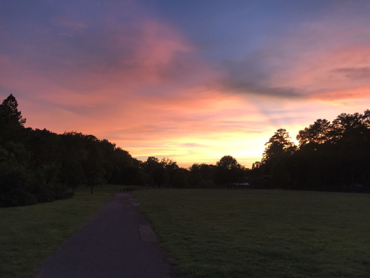 SCENIC VIEW OF FIELD AGAINST ORANGE SKY