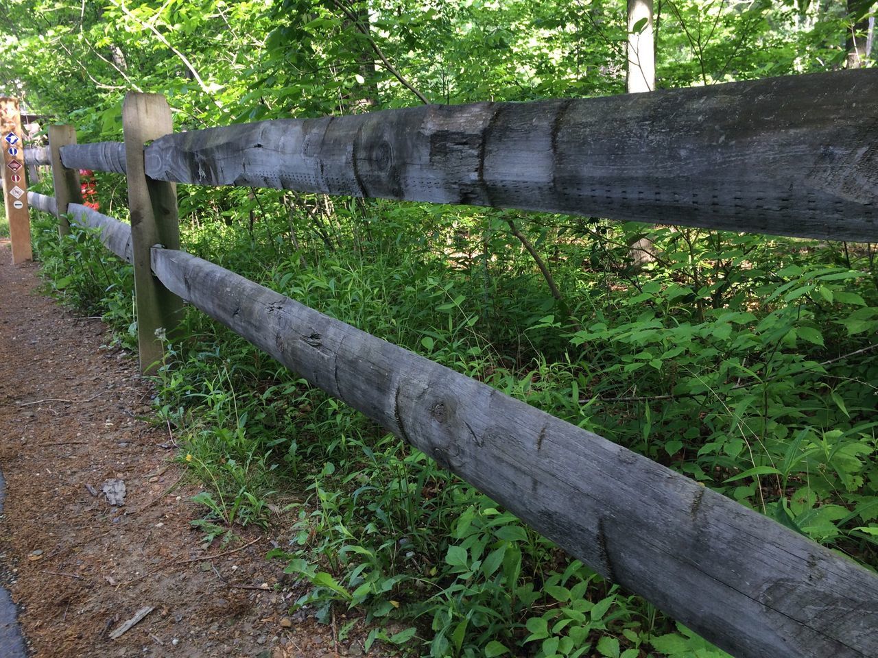 grass, green color, growth, plant, fence, wood - material, nature, park - man made space, field, railing, tranquility, bench, high angle view, wooden, tree, day, outdoors, grassy, sunlight, beauty in nature