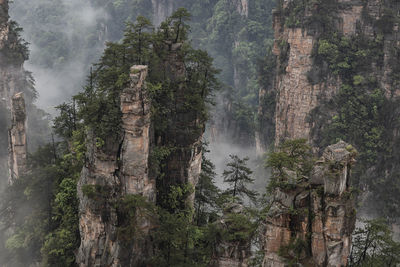 Zhangjiajie mountains in wulingyuan national park, hunan - china