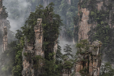 View of waterfall in forest