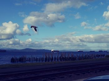 Birds flying over beach against sky