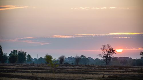 Scenic view of field against sky during sunset