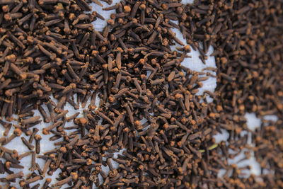 Full frame shot of dried leaves