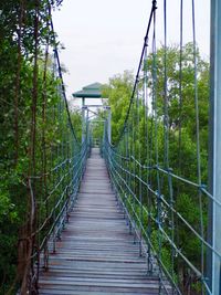 Footbridge amidst trees in forest