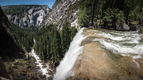 Scenic view of waterfall in forest