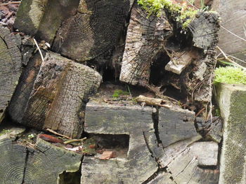 Close-up of abandoned building