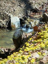 Stream flowing through rocks