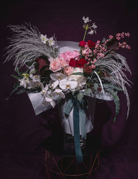 Close-up of flowering plant in vase against black background