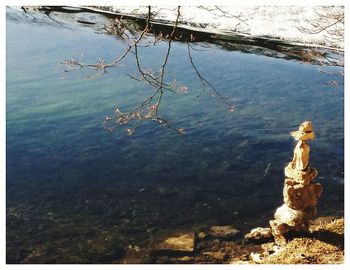 Reflection of trees in water