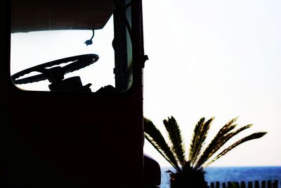 Close-up of silhouette palm tree against clear sky