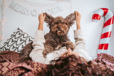 Dog relaxing on bed at home