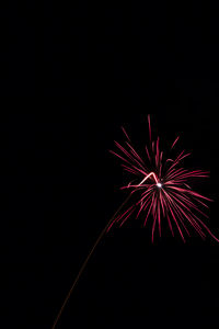 Low angle view of firework display at night