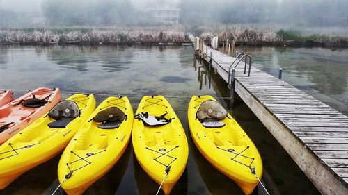 Yellow flowers in lake