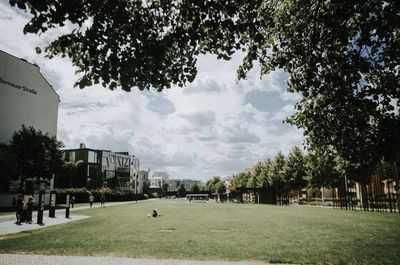 Trees on field against sky