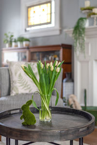 Close-up of potted plant on table at home