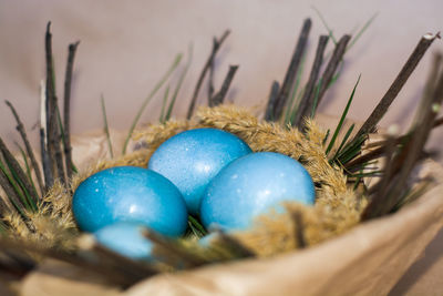 Close-up of eggs