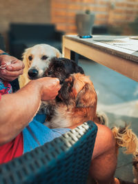 Midsection of man holding dog at home