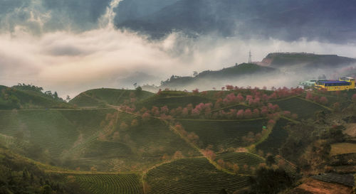 Panoramic view of agricultural field against sky