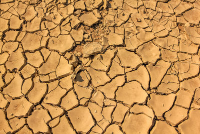 Close-up of cracked land