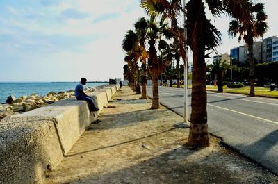 Palm trees by sea