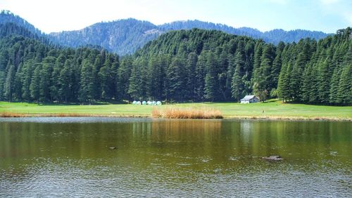 Scenic view of lake by trees against sky