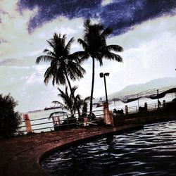 Palm trees by sea against cloudy sky