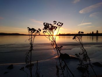 Scenic view of sea against sky at sunset