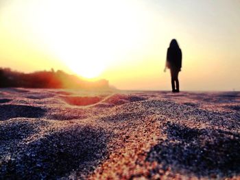 Sun shining through trees