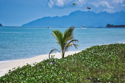 Scenic view of sea against sky