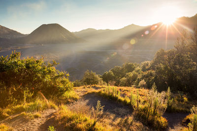 Scenic view of landscape against bright sun