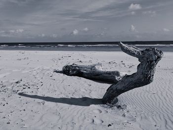 Driftwood on beach by sea against sky